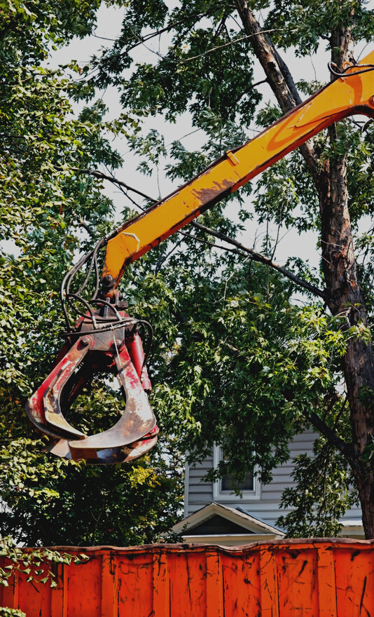 Stump Removal