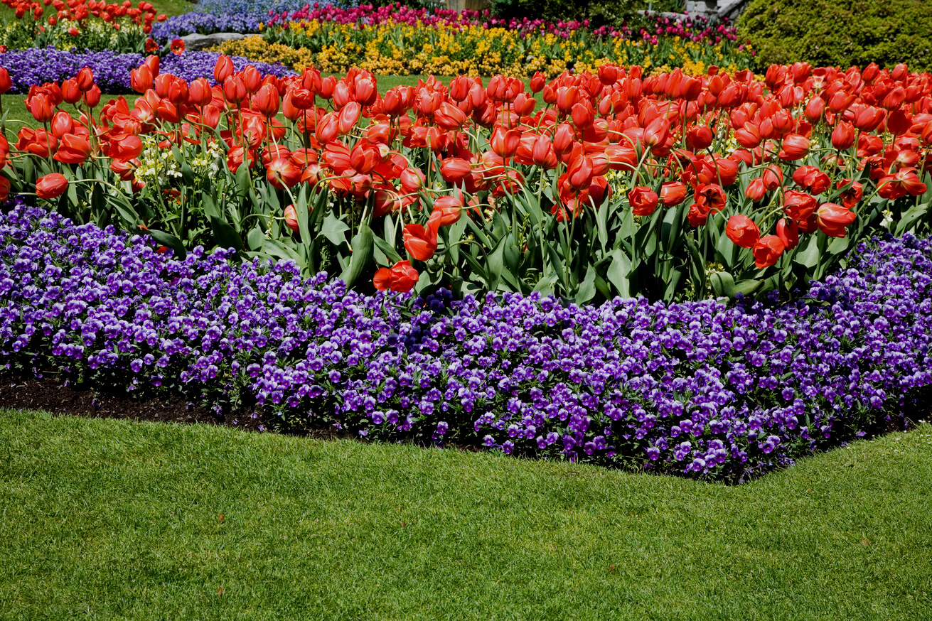 Flower Bed